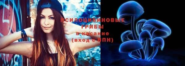 гидра Мегион