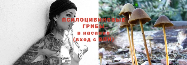 амф Медногорск