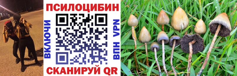 Галлюциногенные грибы GOLDEN TEACHER Тетюши
