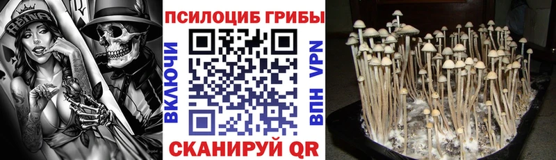 гидра ONION купить наркоту Тетюши Псилоцибиновые грибы мухоморы